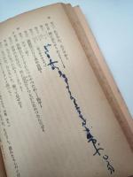 平行　一九二三年の世相劇　（岩波文庫）