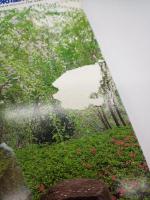 庭 第98号　長州の庭の世界/萩藩御用商人菊屋家の庭園