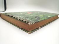 わたしたちの童話教室 3年生