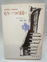 もう一つの国 上・下