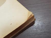 新憲法概論（普及版）(美濃部達吉) / 古本、中古本、古書籍の