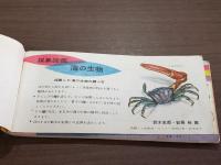 採集図鑑 海の生物