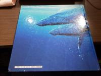 海からのメッセージ THE ART OF ROBERT LYN NELSON