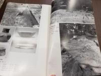 宮城県多賀城跡調査研究所年報1985 多賀城跡