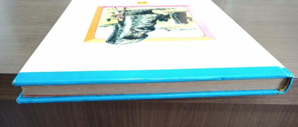 なぜなに世界のふしぎ なぜなに世界のふしぎ （なぜなに学習図鑑3）(岡津守彦＝監修