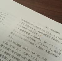 標準皮膚科学　第２版