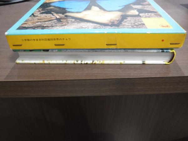 世界のチョウ 小学館の学習百科図鑑４３ 今森光彦 他 兎の穴 古本 中古本 古書籍の通販は 日本の古本屋 日本の古本屋