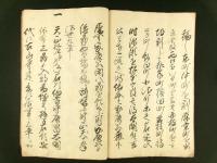 信州松本開基 全（写本）