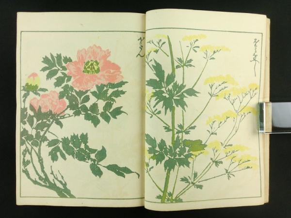 素晴らしい 草花略画式(鍬形蕙斎(北尾政美)) / 古本、中古本、古書籍の 図録