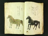 大坪本流 相馬全書（絵入写本）