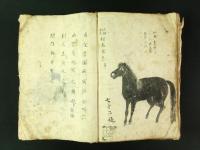 大坪本流 相馬全書（絵入写本）