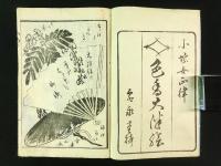 色香大都會（色香大津絵）