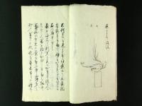 遠州流挿花 口伝秘書(極意)3巻・中免3巻・陰陽巻 計8巻（写本）