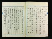 大秘見聞実録（写本）