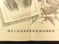 都新聞私撰衆議院正副議長之肖像