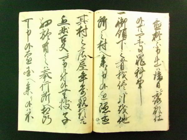 お買い得商店街 二十一箇條 全（山城国相楽郡西法花野村 浅田家文書・写本 和書