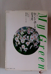 My Green セントポーリア12ヵ月
