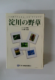 淀川の野草