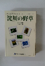 淀川の野草