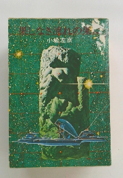 果しなき流れの果に