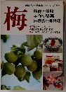 梅　効能と体験 手作り秘薬 保存食と梅料理