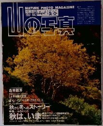 山と溪谷　1982年12/11号　No.2