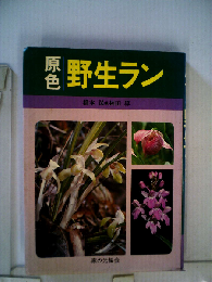 原色野生ラン