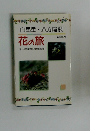 白馬岳・八方尾根 花の旅