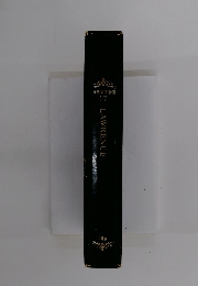 世界文学全集 17