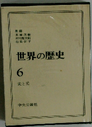 世界の歴史6　朱と元