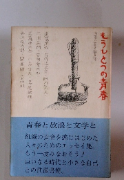 もうひとつの青春