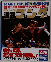 週刊ゴング　1993年2月号