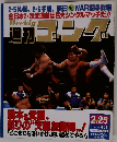 週刊ゴング　1993年2月号