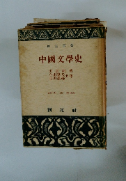 中國文學史