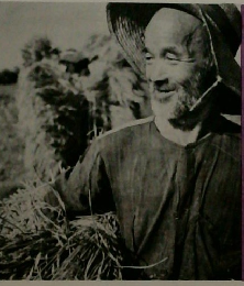 ヨハネによる福音書