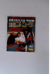 週刊ゴング　1993年5月号