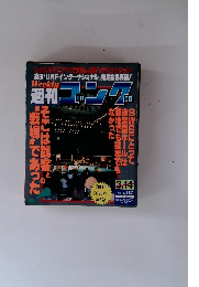 週刊ゴング 1991年3/14号