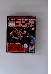 週刊ゴング　1993年2月4日号