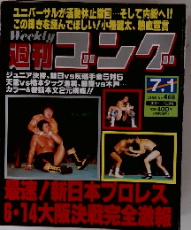 週刊ゴング　1993年7月1日号