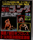 週刊ゴング　1993年7月1日号