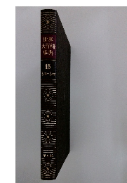 世界大百科事典　15