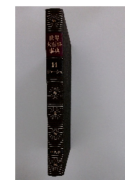 世界大百科事典14