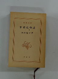 新源氏物語　中巻