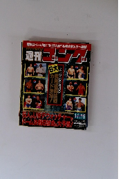 週刊ゴング　11/16