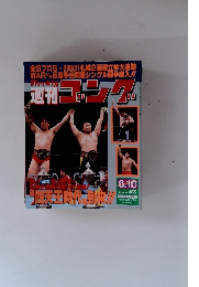 週刊ゴング　1993年6月10日号