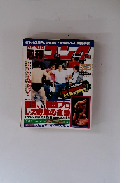 週刊ゴング　1989年5月15日号