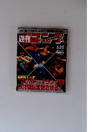週刊ゴング　1989年5/25号