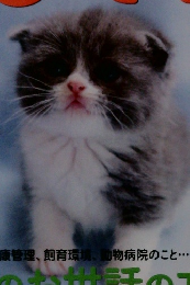 ねこのきもち　2014年2月号