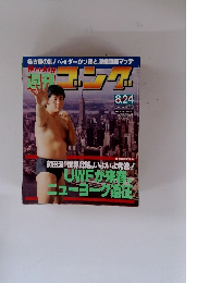 週刊ゴング　1989年8月24日号