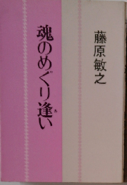 魂のめぐり逢い